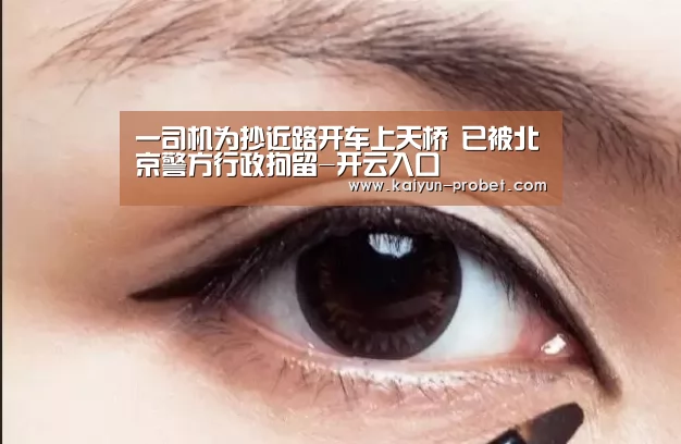 一司机为抄近路开车上天桥 已被北京警方行政拘留-开云入口(图2) 开云首页