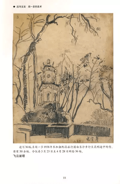 开云体验