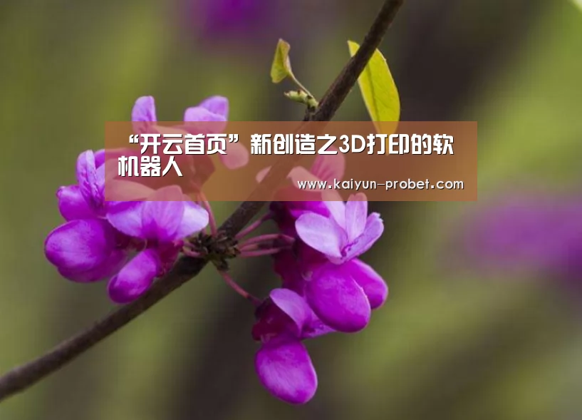 开云首页