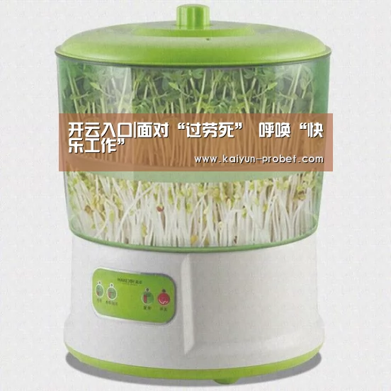 开云体验
