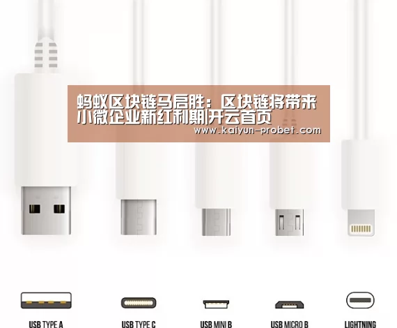 蚂蚁区块链马启胜:区块链将带来小微企业新红利期|开云首页(图2) 开云赛事