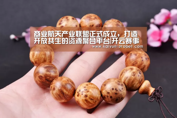 开云入口