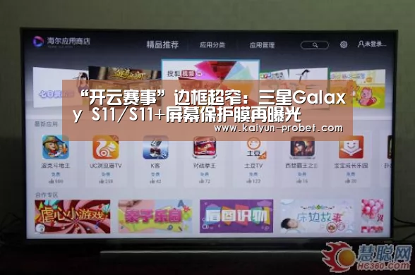 开云体验
