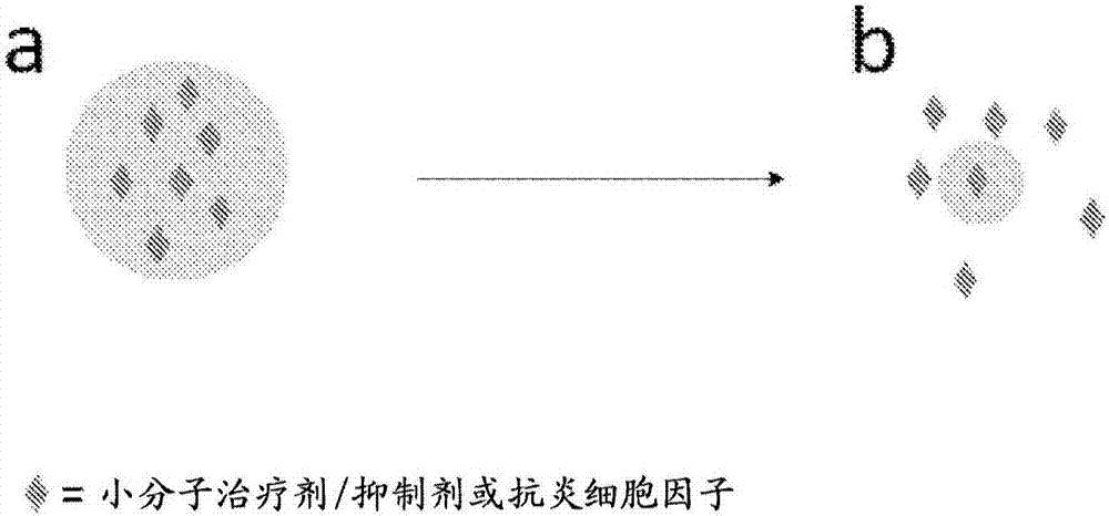开云赛事