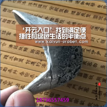 ‘开云入口’找到满足便捷性和绿色生活的平衡点(图2) 开云赛事