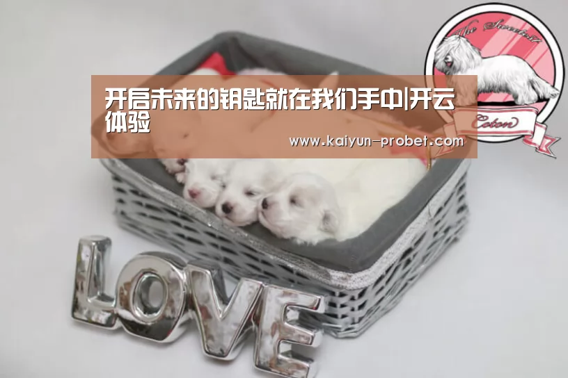 开启未来的钥匙就在我们手中|开云体验(图3) 开云首页