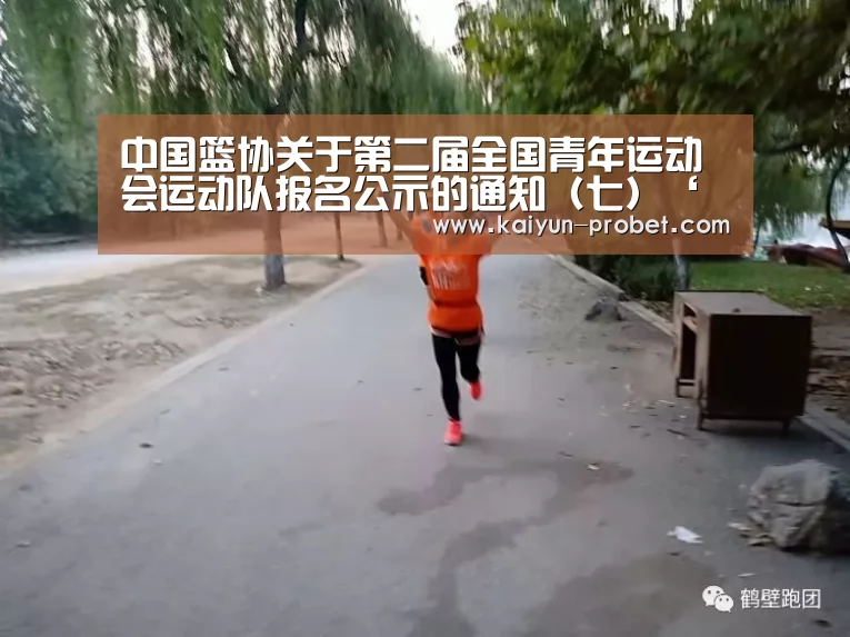 开云体验