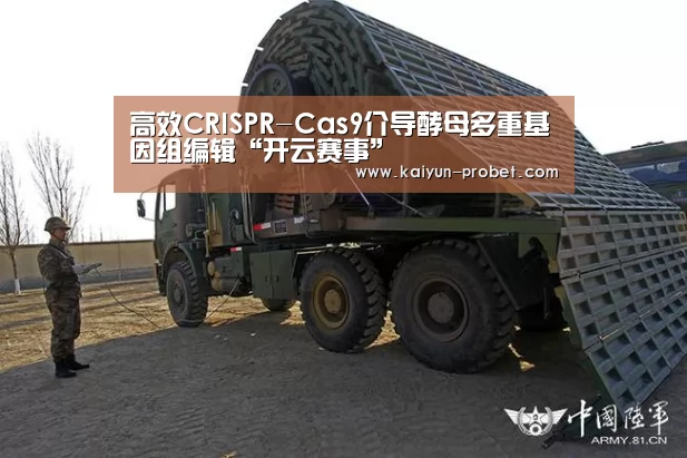 高效CRISPR-Cas9介导酵母多重基因组编辑“开云赛事”(图1) 开云体验