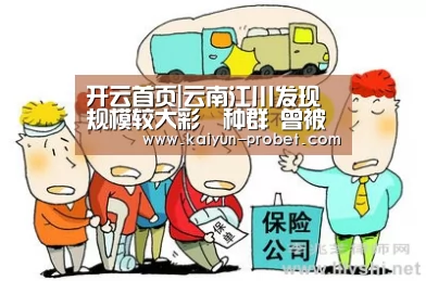 开云首页|云南江川发现规模较大彩鹮种群 曾被宣布在国内绝迹(图1) 开云入口