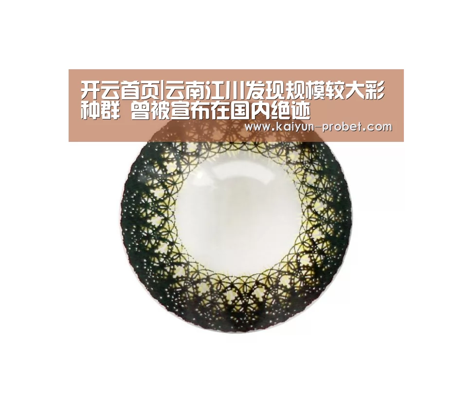 开云首页|云南江川发现规模较大彩鹮种群 曾被宣布在国内绝迹(图2) 开云入口