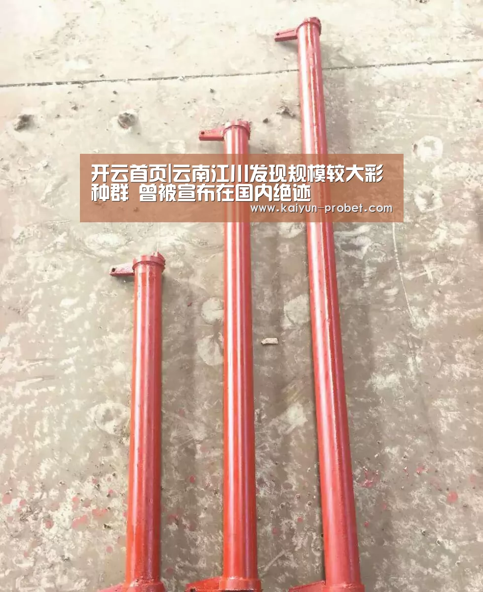 开云首页|云南江川发现规模较大彩鹮种群 曾被宣布在国内绝迹(图3) 开云赛事